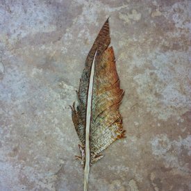 Feather Bookmark