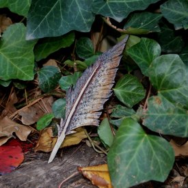 Feather Bookmark