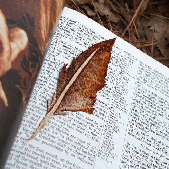 Feather Bookmark